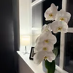 Vaikne, Hubane Ja Privaatne Korter Linna Suedames! Lägenhet *