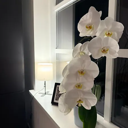 Vaikne, Hubane Ja Privaatne Korter Linna Südames! Apartamento *