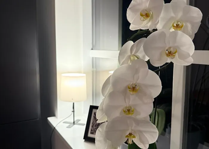 Vaikne, Hubane Ja Privaatne Korter Linna Suedames! Apartman *