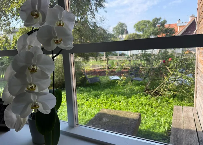 Vaikne, Hubane Ja Privaatne Korter Linna Suedames! *